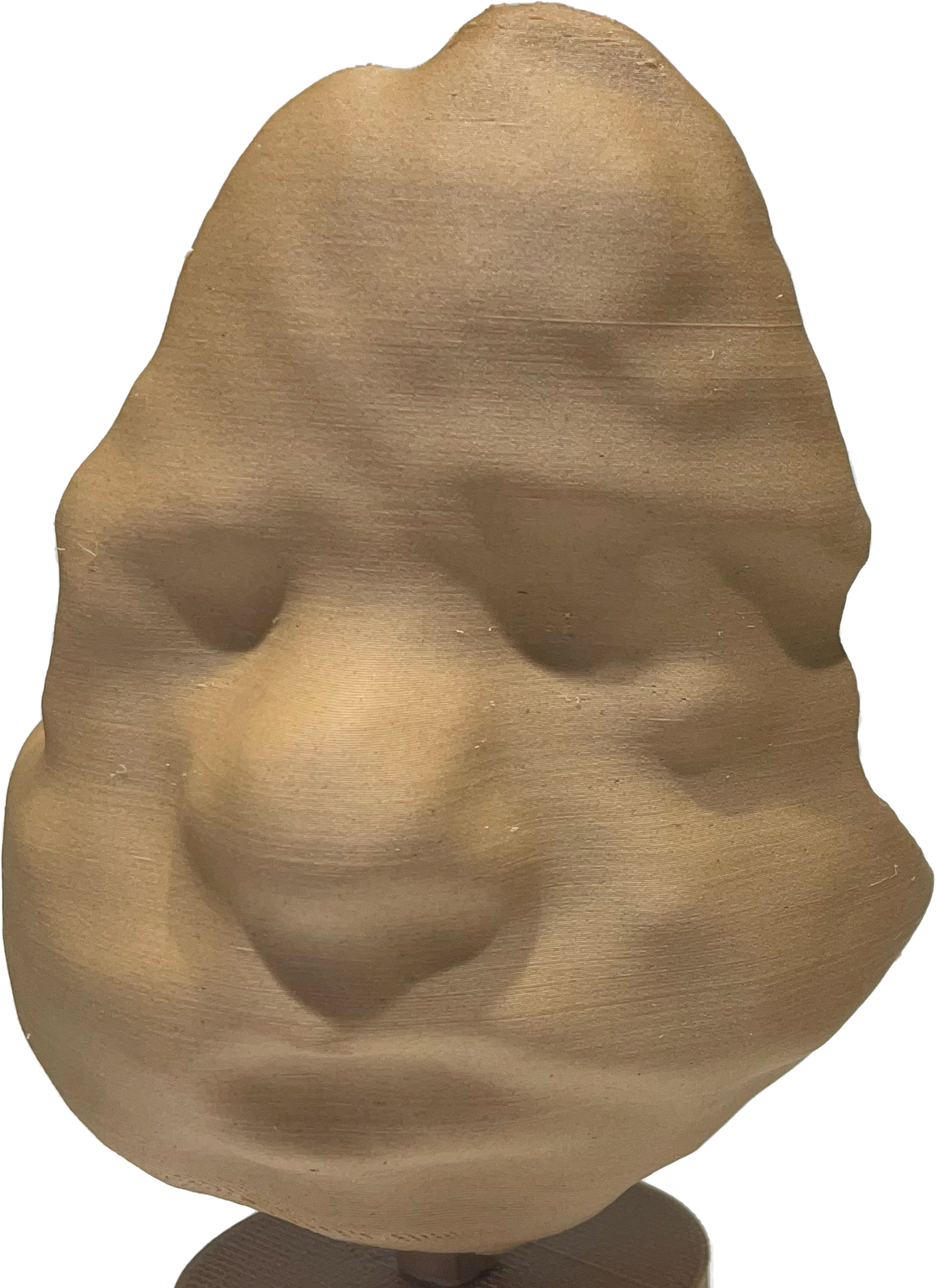 Large 3D Printed Face