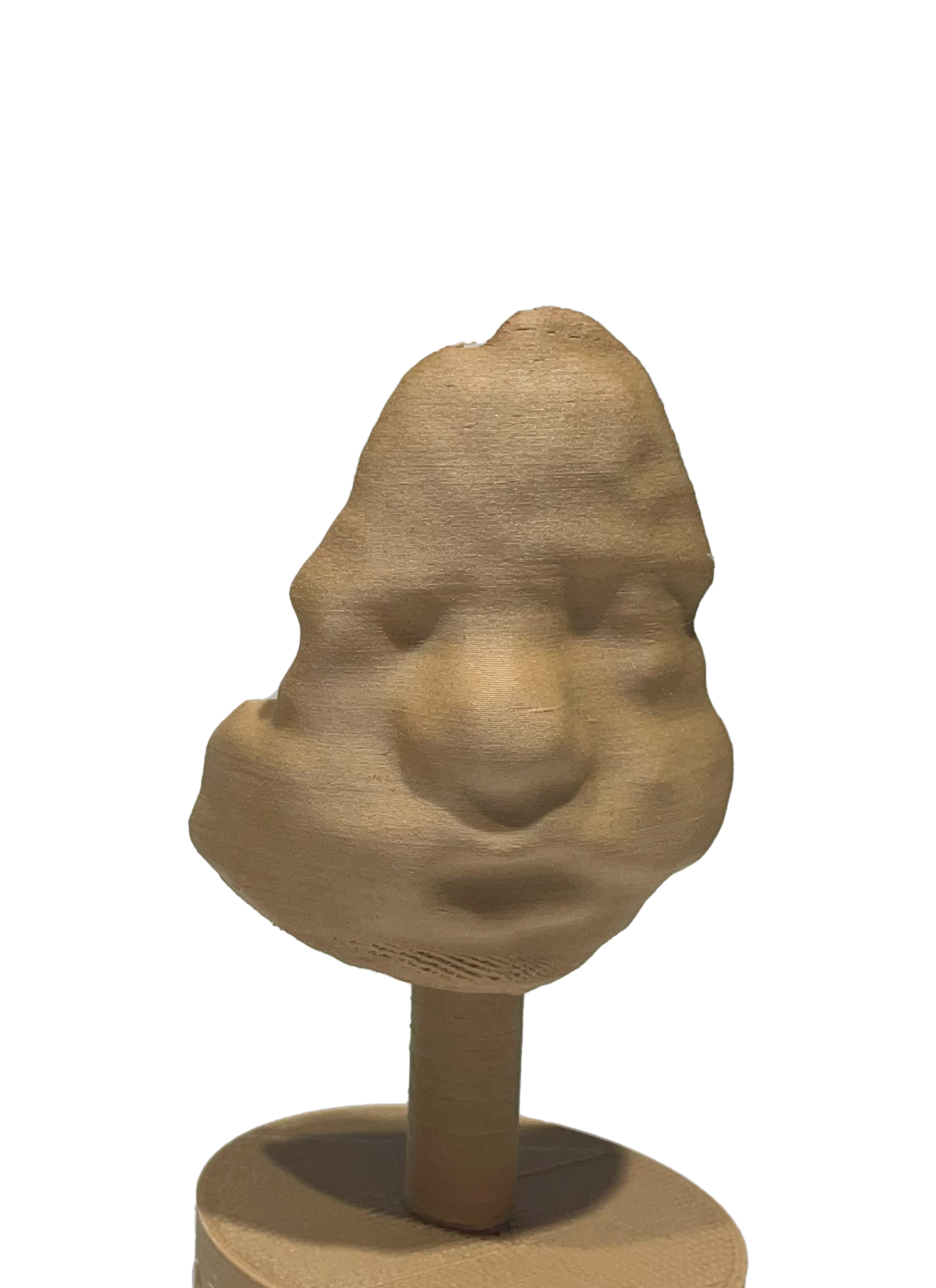 Small 3D Printed Face
